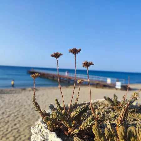 Umi 阳光海滩