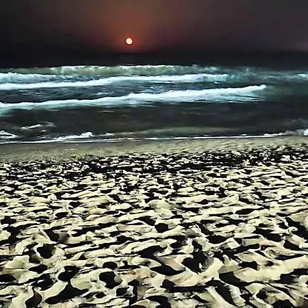 Umi 3* Sunny Beach